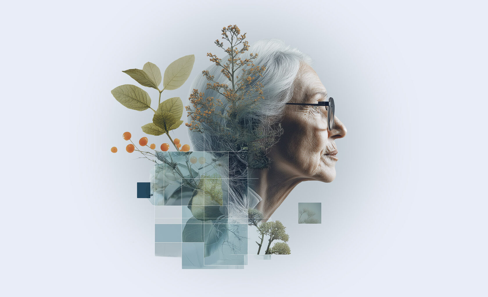 Artwork representing aging research